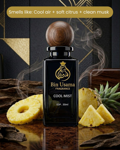 Cool Mist (Inspired by Marj – Ahmed Al Maghrabi) - Bin Usama